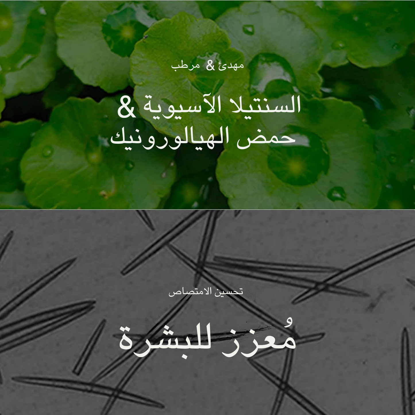 REEDLE SHOT 100 sérum