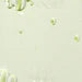beauty of joseon Calming Serum : Green tea + Panthenol